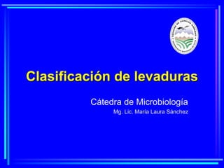 Clasificación de levaduras
Cátedra de Microbiología
Mg. Lic. María Laura Sánchez
 