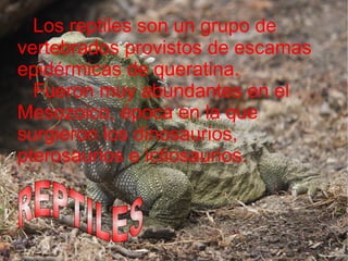 Los reptiles son un grupo de vertebrados provistos de escamas epidérmicas de queratina. Fueron muy abundantes en el Mesozoico, época en la que surgieron los dinosaurios, pterosaurios e ictiosaurios.  REPTILES 