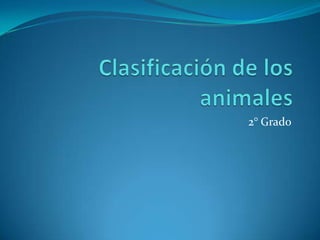 Clasificación de los animales 2° Grado 