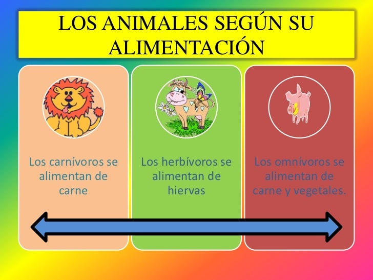 Clasificación de los animales.p Clasificación de los animales.p