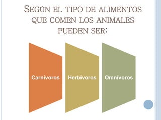 SEGÚN EL TIPO DE ALIMENTOS
QUE COMEN LOS ANIMALES
PUEDEN SER:
Carnívoros Herbívoros Omnívoros