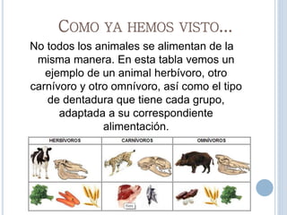 COMO YA HEMOS VISTO...
No todos los animales se alimentan de la
misma manera. En esta tabla vemos un
ejemplo de un animal herbívoro, otro
carnívoro y otro omnívoro, así como el tipo
de dentadura que tiene cada grupo,
adaptada a su correspondiente
alimentación.