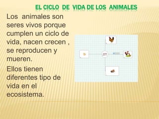 EL CICLO DE VIDA DE LOS ANIMALES
Los animales son
seres vivos porque
cumplen un ciclo de
vida, nacen crecen ,
se reproducen y
mueren.
Ellos tienen
diferentes tipo de
vida en el
ecosistema.
 