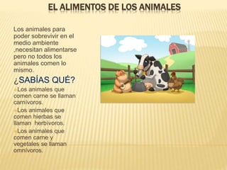 EL ALIMENTOS DE LOS ANIMALES
Los animales para
poder sobrevivir en el
medio ambiente
,necesitan alimentarse
pero no todos los
animales comen lo
mismo.
¿SABÍAS QUÉ?
Los animales que
comen carne se llaman
carnívoros.
Los animales que
comen hierbas se
llaman herbívoros.
Los animales que
comen carne y
vegetales se llaman
omnívoros.
 