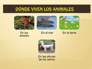 DÓNDE VIVEN LOS ANIMALES
En los
arboles
En el mar En la tierra
En las alturas
de los cerros
 