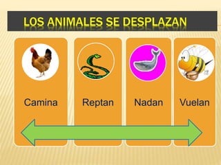 LOS ANIMALES SE DESPLAZAN
Camina Reptan Nadan Vuelan
 