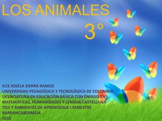 LOS ANIMALES
ILCE JOSELA SIERRA RAMOS
UNIVERSIDAD PEDAGÓGICA Y TECNOLÓGICA DE COLOMBIA
LICENCIATURA EN EDUCACIÓN BÁSICA CON ÉNFASIS EN
MATEMÁTICAS, HUMANIDADES Y LENGUA CASTELLANA
TICS Y AMBIENTES DE APRENDIZAJE I SEMESTRE
BARRANCABERMEJA
2015
3°
 