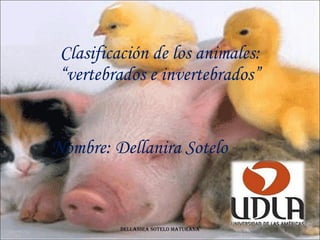 Clasificación de los animales: “vertebrados e invertebrados” Nombre: Dellanira Sotelo Dellanira Sotelo Maturana 