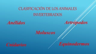 CLASIFICACIÓN DE LOS ANIMALES
INVERTEBRADOS
Anélidos Artrópodos
Equinodermos
Cnidarios
Moluscos
 