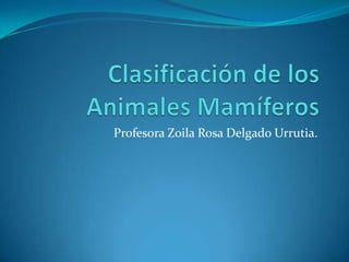 Profesora Zoila Rosa Delgado Urrutia.
 