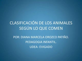 CLASIFICACIÓN DE LOS ANIMALES
    SEGÚN LO QUE COMEN
 POR: DIANA MARCELA OROZCO PATIÑO.
         PEDAGOGIA INFANTIL.
           UDEA- EVIGADO
 