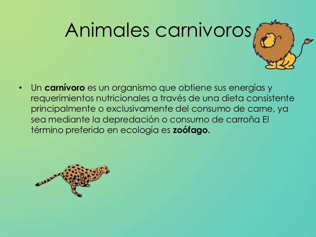 Clasificación de los animales según su alimentación