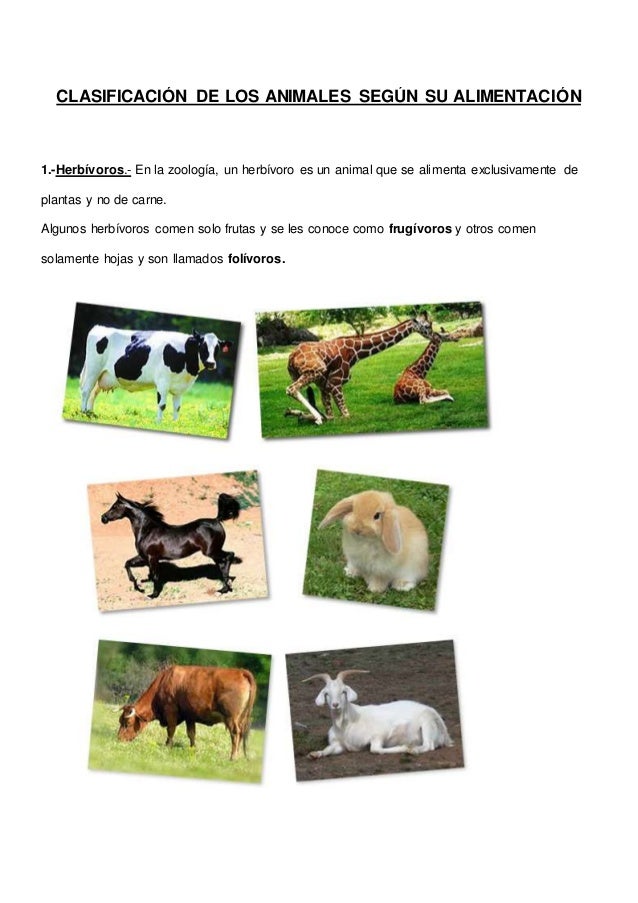 Clasificación de los animales según su alimentación