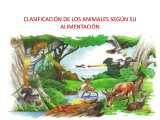 CLASIFICACIÓN DE LOS ANIMALES SEGÚN SU
ALIMENTACIÓN
 