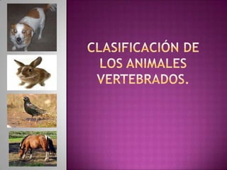 Clasificación de los animales vertebrados
