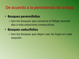 ClasificacióN De Los Bosques