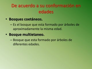 ClasificacióN De Los Bosques