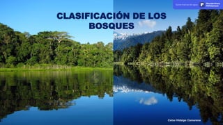 z
CLASIFICACIÓN DE LOS
BOSQUES
Celso Hidalgo Camarena
Quita marcas de agua Wondershare
PDFelement
 