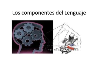 Clasificación de los componentes del lenguaje