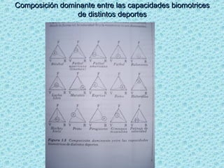 Composición dominante entre las capacidades biomotricesComposición dominante entre las capacidades biomotrices
de distintos deportesde distintos deportes
 