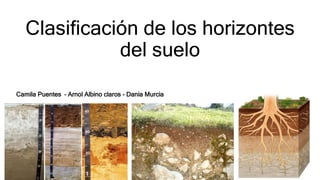 Clasificación de los horizontes
del suelo
Camila Puentes – Arnol Albino claros - Dania Murcia
 