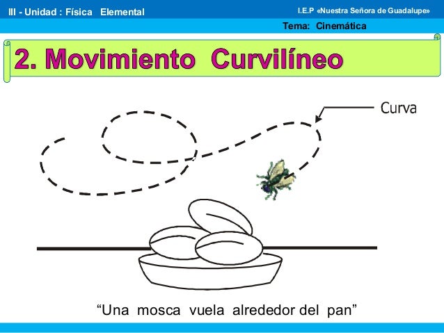 Clasificación de los movimientos