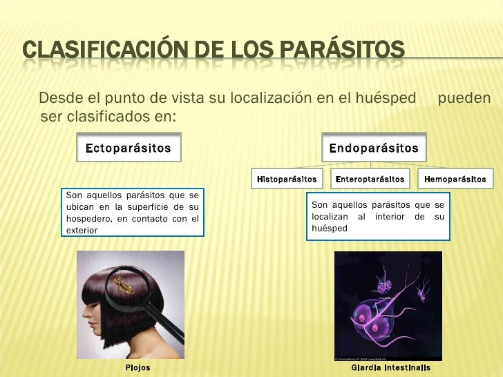 Clasificación de los parásitos...