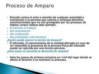  Procede contra el echo o omisión de cualquier autoridad o
funcionario o la persona que vulnera o amenaza derechos
constitucionales que no son protegidos por los procesos de
habeas corpus habeas data ejemplo.
 El derecho al trabajo
 Ala contratación
 Ala sindicación
 Ala propiedad y ala herencia.
¿Quién puede ejercer la Acción de Amparo?
 El afectado, el representante de la entidad afectada en caso de
ser imposible la presencia de la persona física del afectado
puede ser ejercida por una tercera persona.
¿Ante quien se presenta la demanda de amparo?
 Ante los jueces de primera instancia en l civil del lugar donde se
afecto el derecho o se mantiene la amenaza.
 