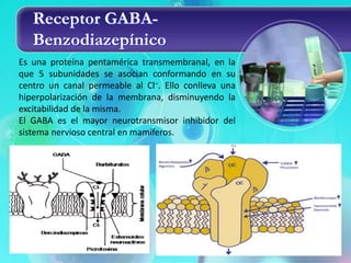 Receptor GABA-
   Benzodiazepínico
Es una proteína pentamérica transmembranal, en la
que 5 subunidades se asocian conformando en su
centro un canal permeable al Cl–. Ello conlleva una
hiperpolarización de la membrana, disminuyendo la
excitabilidad de la misma.
El GABA es el mayor neurotransmisor inhibidor del
sistema nervioso central en mamíferos.
 