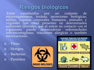  - Virus.
 - Hongos.
 - Bacterias.
 - Parásitos
Están constituidos por un conjunto de
microorganismos, toxinas, secreciones biológicas,
tejidos, órganos corporales humanos, animales y
vegetales que están presentes en determinados
ambientes laborales, que al entrar en contacto con el
organismo puede desencadenar enfermedades
infectocontagiosas, reacciones alérgicas o también
intoxicaciones.
 