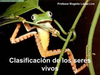 Profesor Rogelio López Lira




Clasificación de los seres
           vivos
 