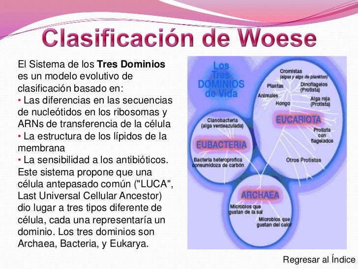 Clasificación de los seres vivos