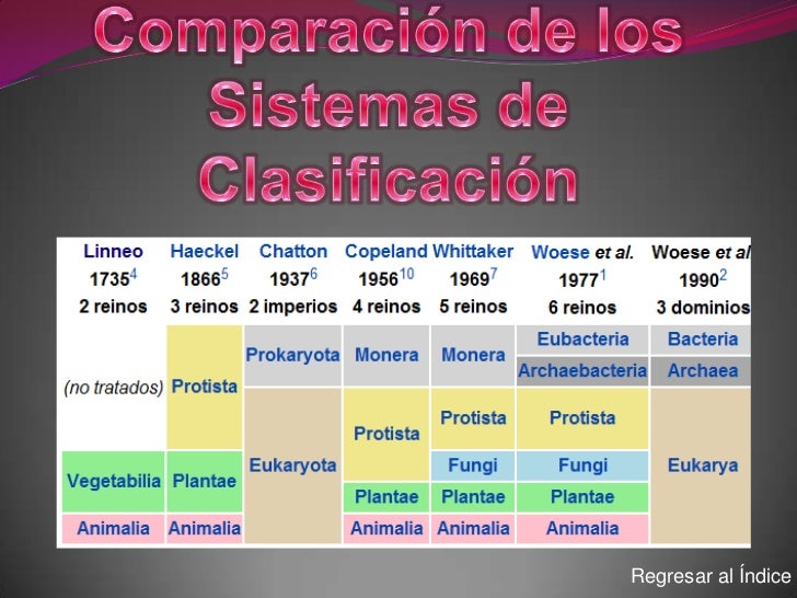 Clasificación de los seres vivos