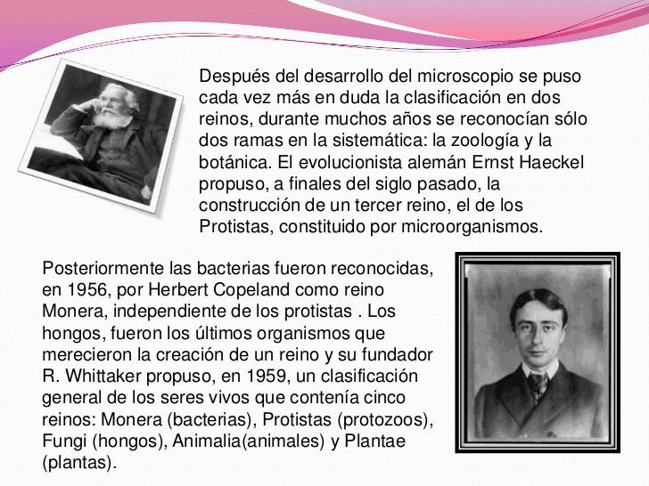 Clasificación de los seres vivos