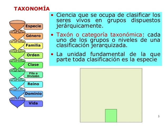 Clasificación de los seres vivos