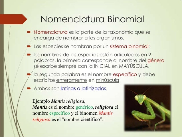 Clasificación de los seres vivos prof jairo
