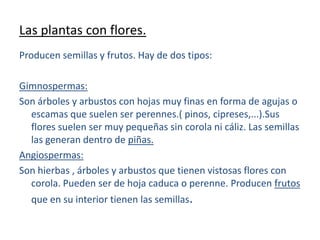Las plantas con flores.<br />Producen semillas y frutos. Hay de dos tipos:<br /> <br />Gimnospermas:<br />Son árboles y ar...