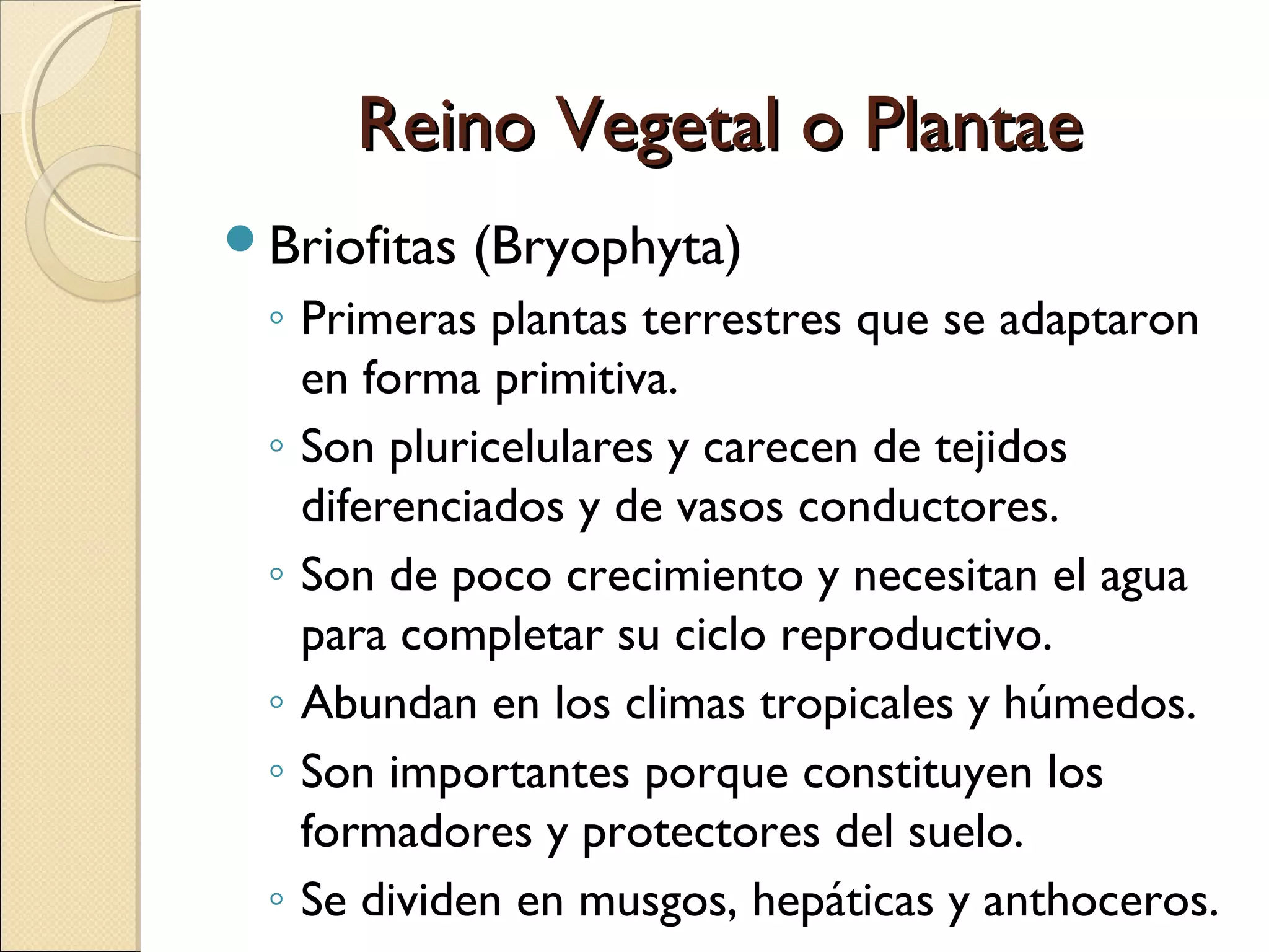 Clasificación de reinos biológicos según whittaker | PPT