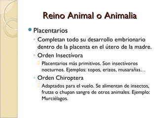 Reino Animal o AnimaliaReino Animal o Animalia
◦ Orden Carnívora
 Poseen largos y agudos caninos y molares y se
alimentan...