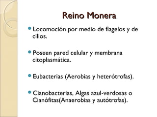 Reino MoneraReino Monera
Clasificación de las bacterias según su forma:
 Cocos (forma esférica)
 Neisseria gonorrhoea (...