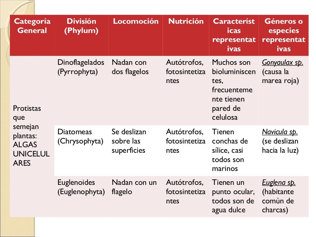 Clasificacion De Los Seres Vivos Segun Whittaker