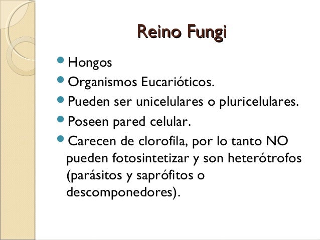 Lotseril como la medicina contra el hongo de las uñas