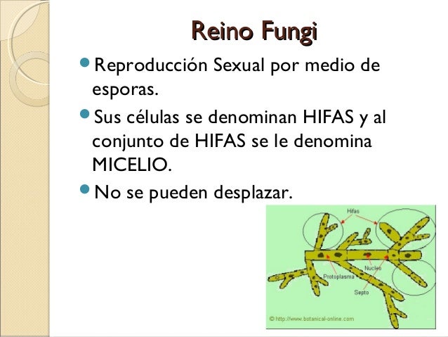Como curar el hongo de las uñas en los pies más eficaz