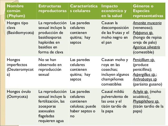 Clasificación de reinos biológicos según whittaker