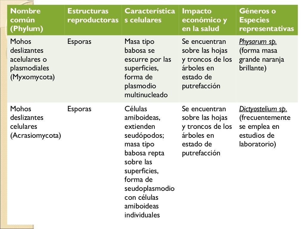 Clasificación de reinos biológicos según whittaker