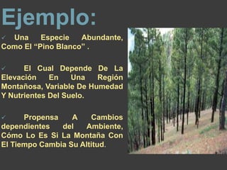  Whitaker concluye con
la efectividad del uso
del análisis de
gradiente,
 las especies se
representan a las
variaciones
ambientales.
 
