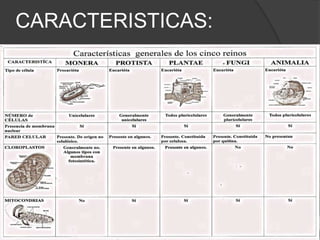 Ejemplos: Pantera negra orquídea Hongos
REINO Animalia Plantae Fungí
DIVISIÓN-
PHYLIM
Chordata Magnoliophyta Ascomycota
CLASE Mammalia Liliopsida Eurotiomycetes
ORDEN Carnívora Orchidales Eurotiales
FAMILIA Felidae Orchidaceae Trichocomaceae
GÉNERO Phantera Ophrys Aspergillus
ESPECIE P. Pardus Ophrys tenthredinifera A. fumigatus
Nota: El género siempre debe escribirse en mayúscula (la primer letra).
El género y la especie siempre deben de escribirse en letra cursiva, y
ambos los puedes encontrar en latín.
 