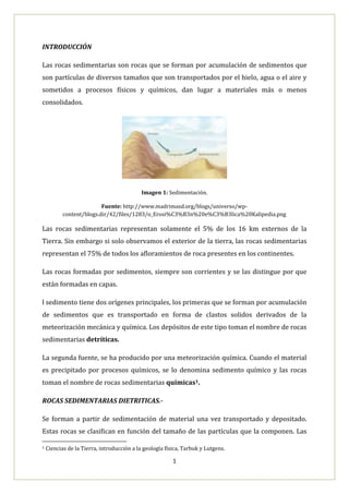 Rocas Sedimentarias | DOCX