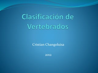 Cristian Changoluisa
2012
 
