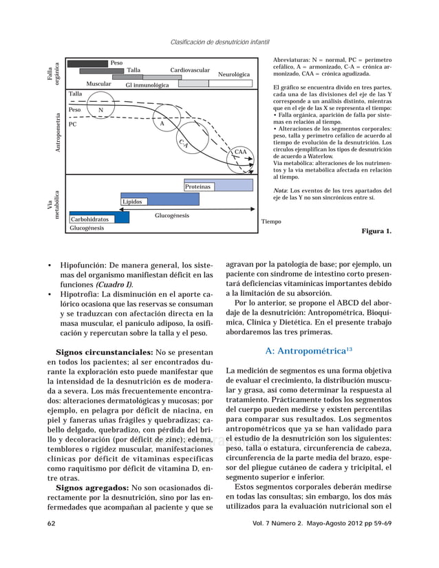 Clasificación de waterlow | PDF